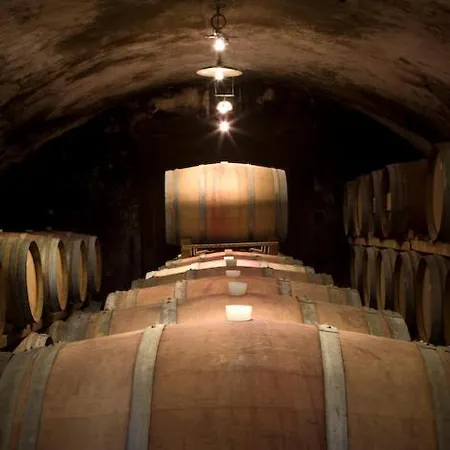 Fattoria Di Rignana Winery