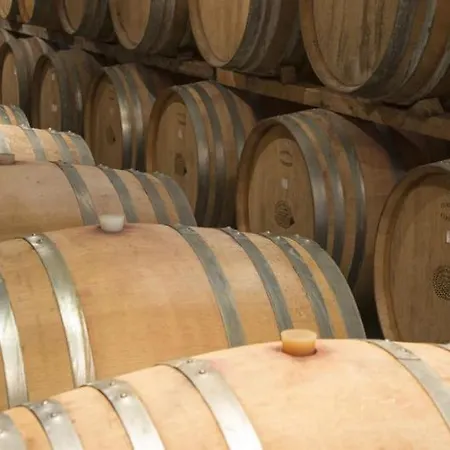 Fattoria Di Rignana Winery