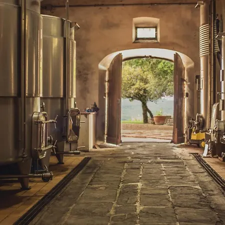 Fattoria Di Rignana Winery * Greve in Chianti