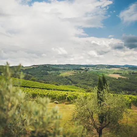Fattoria Di Rignana Winery Farm stay *