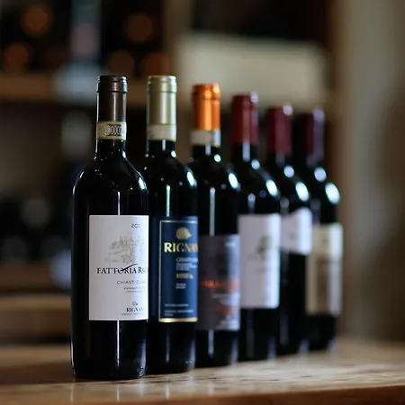 Farm stay Fattoria Di Rignana Winery *