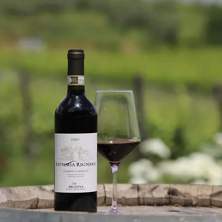 Fattoria Di Rignana Winery Farm stay Greve in Chianti