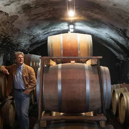 Fattoria Di Rignana Winery Farm stay *