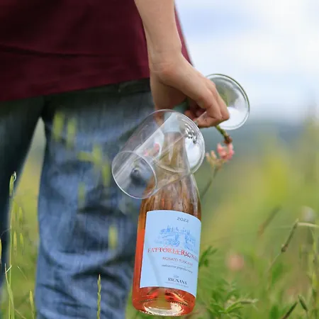 Farm stay Fattoria Di Rignana Winery *