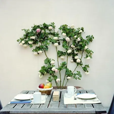 Farm stay Fattoria Di Rignana Winery *